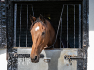 NH051025-75 - Will Carver